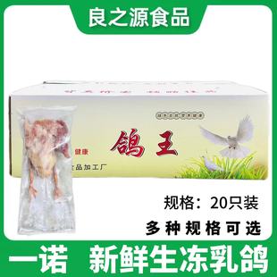 一诺新鲜冷冻乳鸽20只白条乳鸽土鸽子脆皮乳鸽生鸽私房菜烧烤食材