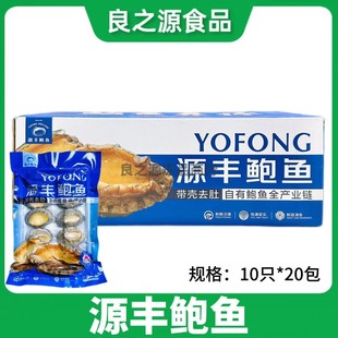 源丰活冻鲍鱼新鲜速冷冻10只*20袋福建连江海鲜带壳去肚商用食材