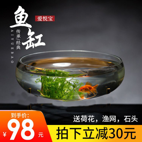 爱悦宝特大号玻璃生态水培鱼缸