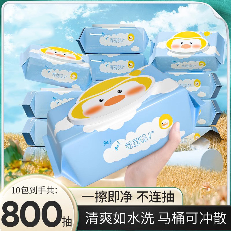 大包湿厕纸家庭实惠装可冲马桶
