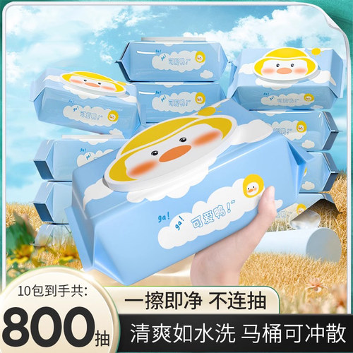 大包湿厕纸家庭实惠装可冲马桶