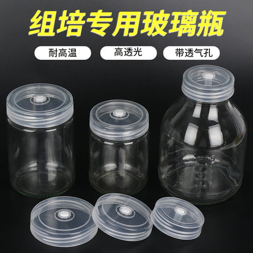 组培瓶玻璃瓶耐高温育苗瓶 240ml组培瓶菌瓶育苗瓶组织培养瓶透气