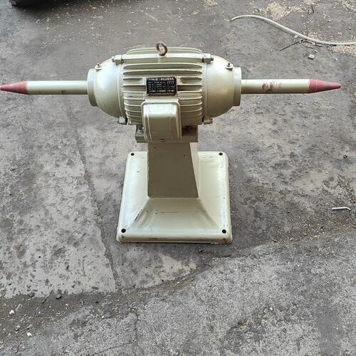议价YPJ电动抛光机YPJ100L-2YPJ100L-4YPJ112M-2