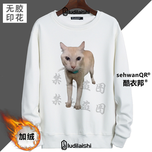 秋冬新款丑橘世界上倒数可爱的猫表情包男女圆领加绒加厚卫衣