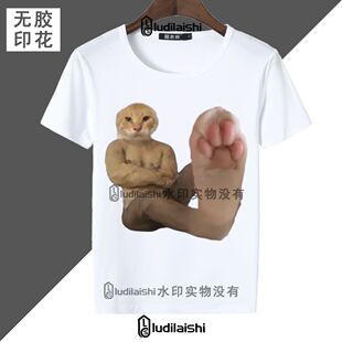 抽象耄耋猫meme表情包圆领短袖t恤恶搞笑小猫学生短袖男女上衣服