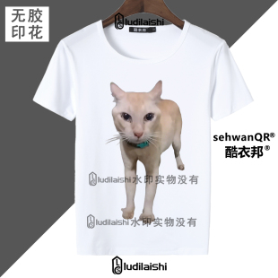 丑橘世界上倒数第一可爱的猫表情包男女学生短袖T恤上衣夏季新款