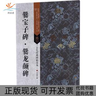 【正版书包邮】爨宝子碑爨龙颜碑刘天琪江苏凤凰美术出版社