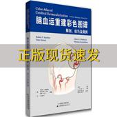 包邮 书 脑血运重建彩色图谱解剖技巧及病例国外引进中文翻译罗伯特施博赖泽阿尔伯特罗顿彼得中司川岛雅刀毛更生天津科技翻 正版