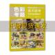 色彩考题20062019美术联考范画精编解析庄廷峄刘双吴俊杰刘奇上海人民美术出版 包邮 书 社 正版