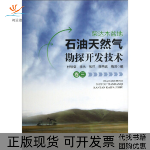 【正版书包邮】柴达木盆地石油天然气勘探开发技术卷3付锁堂李永张祥石油工业出版社