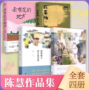 【陈慧作品集 全4册】去有花的地方+在菜场在人间+渡你的人再久也会来+世间的小儿女 菜场女作家陈慧非虚构故事集 散文集
