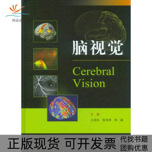 【正版书包邮】脑视觉王育良张传伟阎丽人民军医出版社