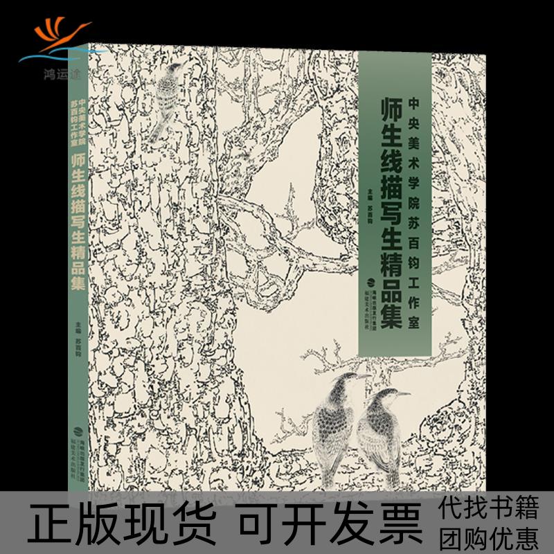【正版书包邮】中央美术学院苏百钧工作室师生线描写生精品集苏百钧福建美术出版社
