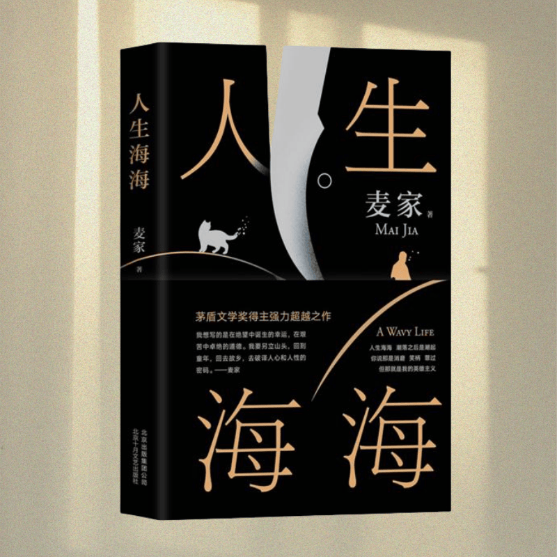 人生海海麦家重磅力作麦家