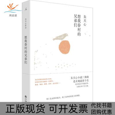 【正版书包邮】想我眷村的兄弟们朱天心九州出版社