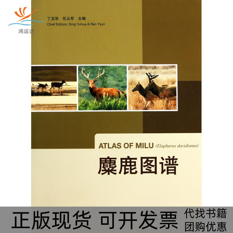【正版书包邮】麋鹿图谱丁玉华任义军中国林业出版社