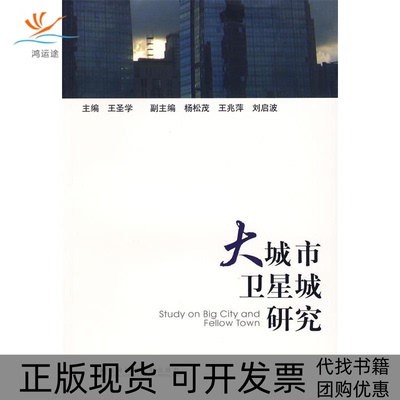 【正版书包邮】大城市卫星城研究王圣学社会科学文献出版社