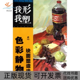 【正版书包邮】色彩静物块面塑造法我型我塑赵毅湖北美术出版社