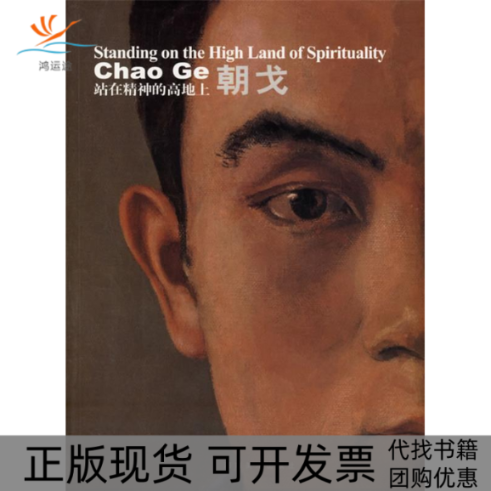 【正版书包邮】站在精神的高地上朝戈朝戈湖南美术出版社