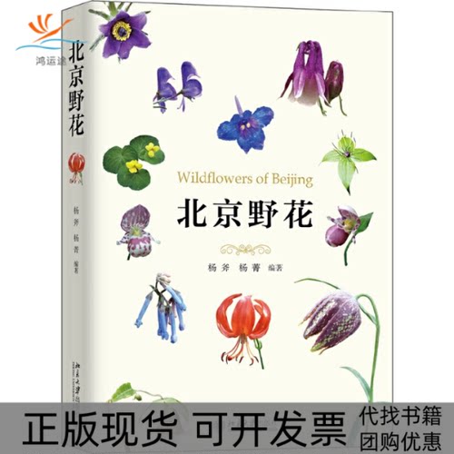 【正版书包邮】北京野花杨斧杨菁北京大学出版社