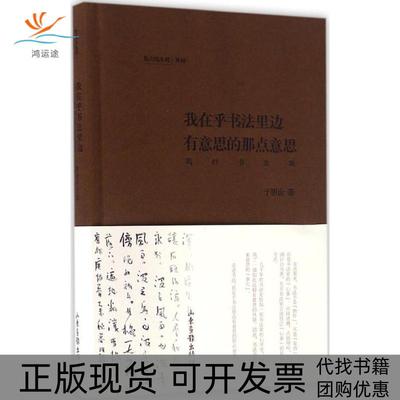 【正版书包邮】我在乎书法里有意思的那点意思于明诠山东画报出版社有限公司