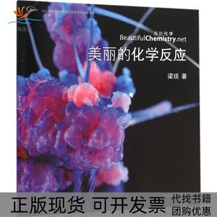 【正版书包邮】美丽的化学反应梁琰清华大学出版社