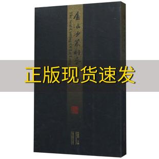 【正版书包邮】卢浪沙篆刻艺术宋建明中国美术学院出版社