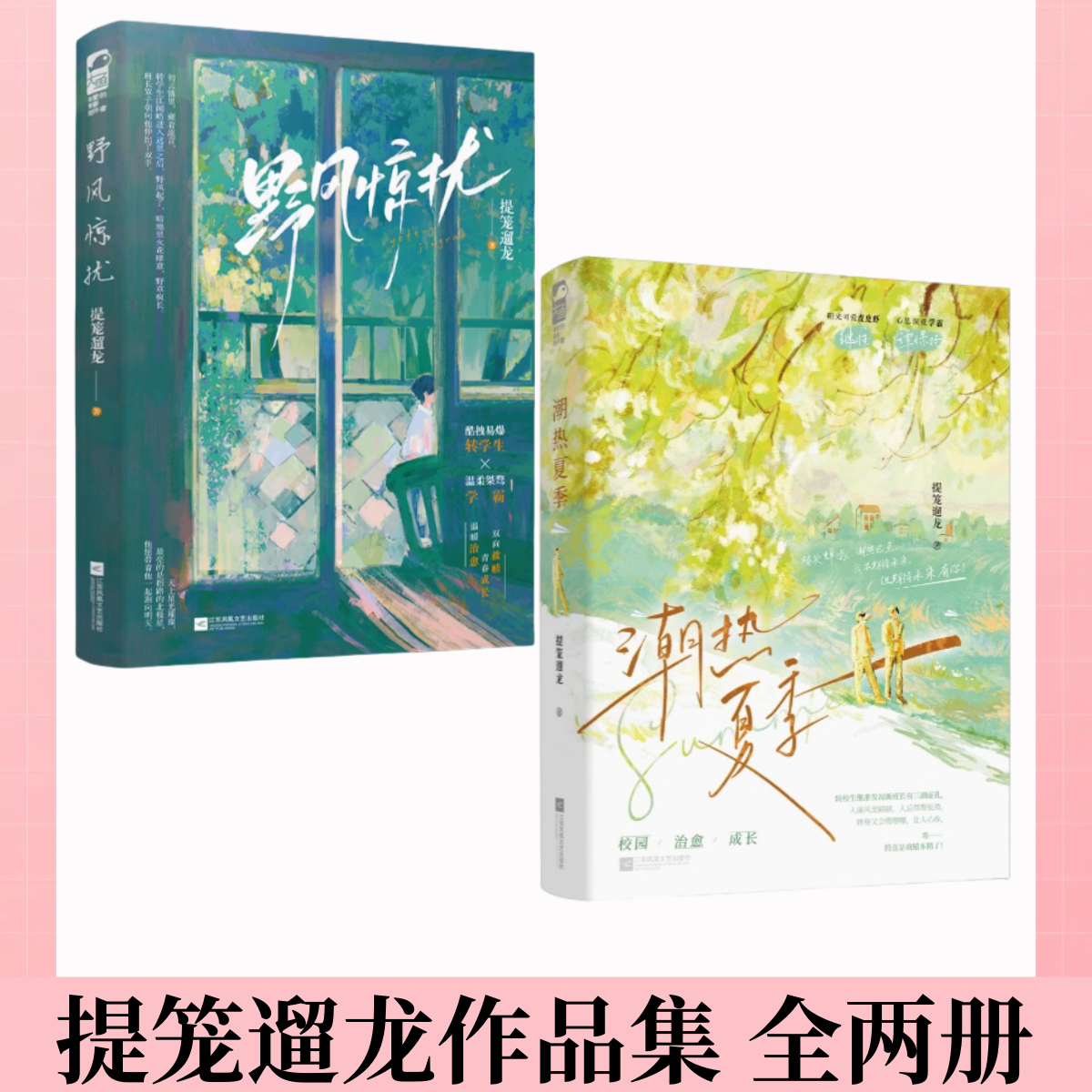 【提笼遛龙作品集 全两册】潮热夏季+野风惊扰 提笼遛龙 青春文学校园爱情双男主成长治愈励志纯爱言情小说