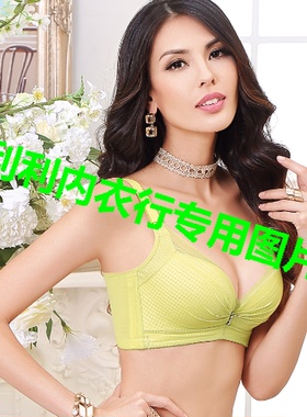 新专柜正品奥尔黛丝 文胸罩2577 A/B/C杯侧收聚拢无钢圈内衣调整