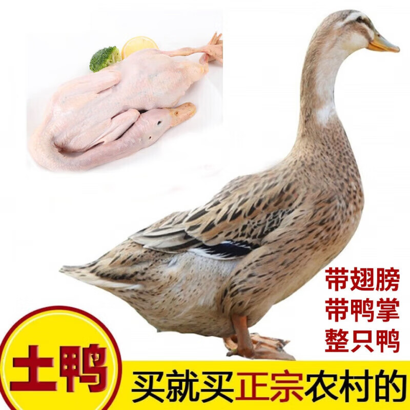 【顺丰速发】鸭子生鲜 土鸭农家散养鸭子土鸭整鸭笨鸭农村鸭