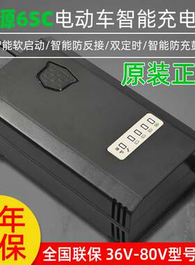 适用于绿源原装电动车电瓶充电器48V12/14AH48V20E-2T两孔公插正