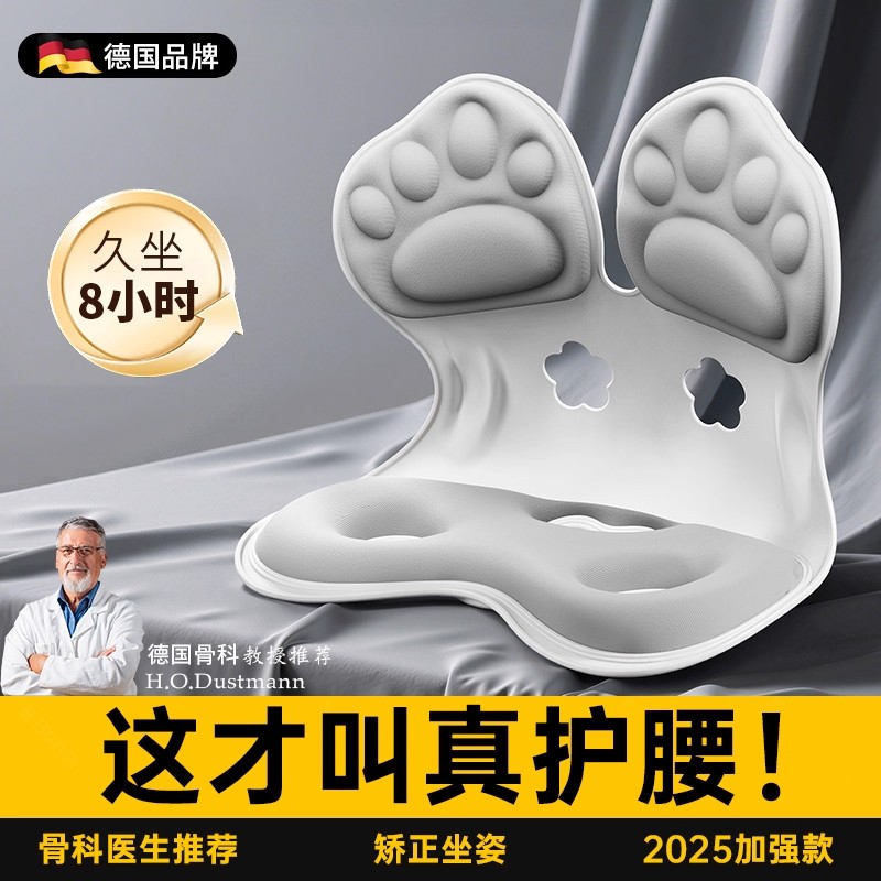 德国护腰坐垫人体工学坐姿椅座椅脊椎腰托靠垫一体办公室久坐神器
