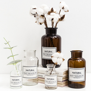 ins家居创意水培容器