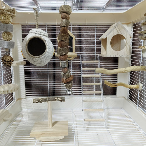 鹦鹉鸟笼玩具木屋站杆站台椰子鸟窝爬梯镜子坚果花串牡丹虎皮玄凤