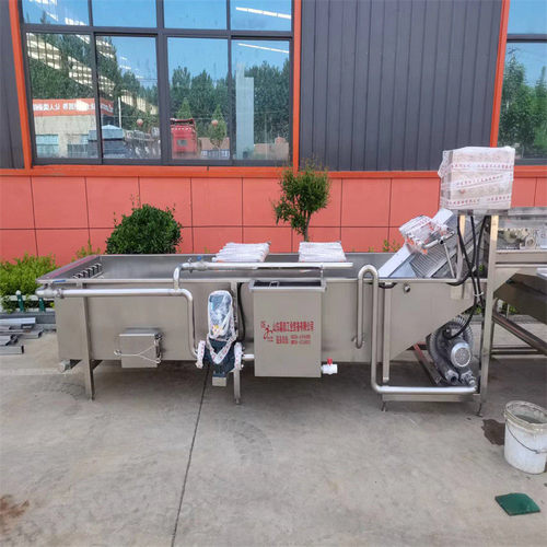 热销果蔬连续清洗机水果蔬菜清洗设备全自动大型商用气泡辣椒爆品