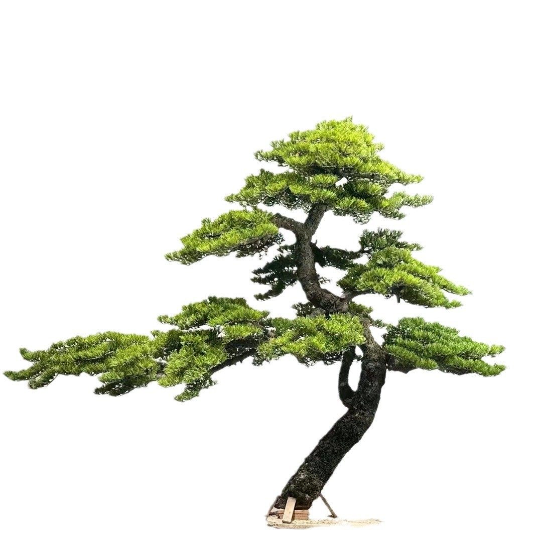 仿真迎客松松树假松树商场室仿真松树室内外装饰内外摆件树人松松
