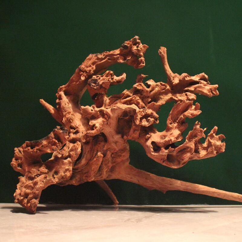 天然枯木根雕摆件文玩手串笔挂鱼缸造景沉木珊瑚木家居玄关摆件
