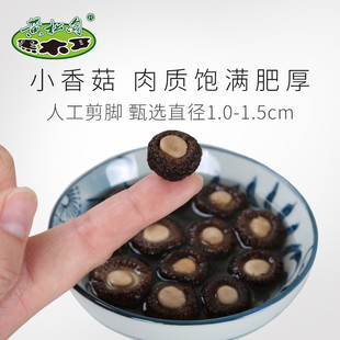新货黄松甸珍珠菇小香菇干货金钱菇 剪脚小干香菇冬菇小花菇特产2
