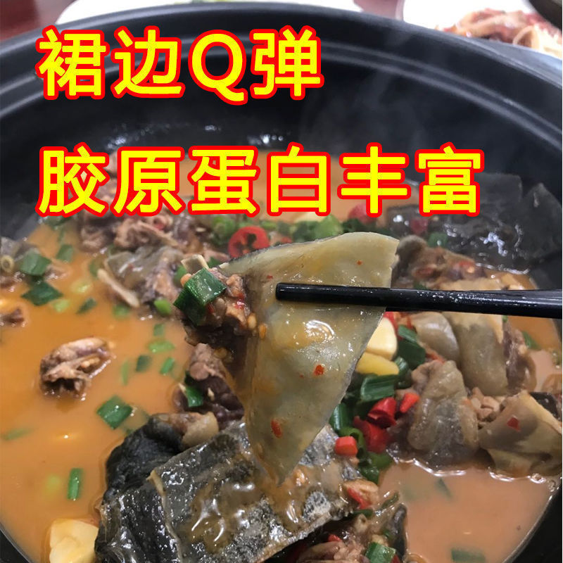 新日期产地直供足斤【鲜活甲鱼 包活送达】大甲鱼活体王八中华海