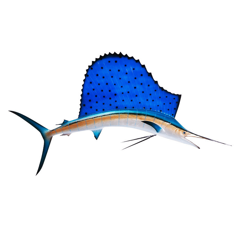 玻璃钢仿真模型旗鱼半边室内装饰玻璃钢雕塑海洋挂饰墙壁工艺品