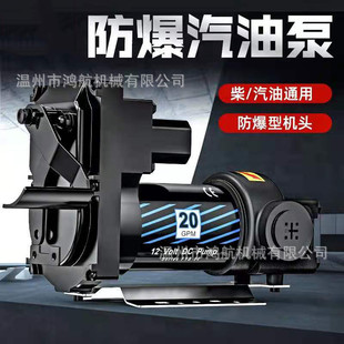 12V24V电瓶直流防爆汽油柴油抽油泵大流量滑片泵刮片自吸泵加油泵