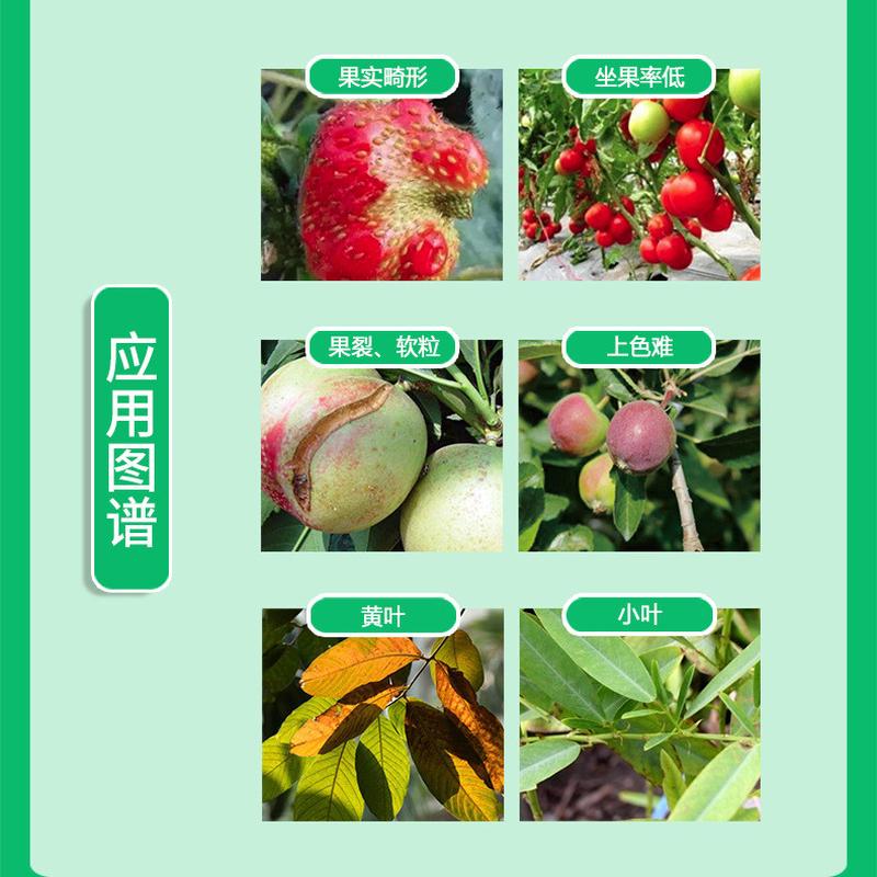 中量元素水溶肥钙镁硼锌铁叶面肥蔬菜果树保花冲果防裂农用保施肥
