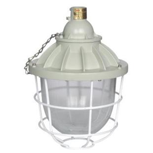 防爆灯 防爆金卤灯 70W100W隔爆型防爆灯 L100B1防爆壁灯 BAD51