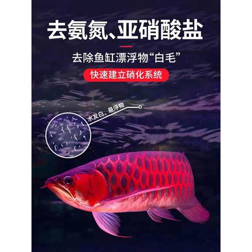 热销ac滤材陶瓷专用中空石英球纳米养鱼细菌屋净水鱼缸环鱼缸过滤