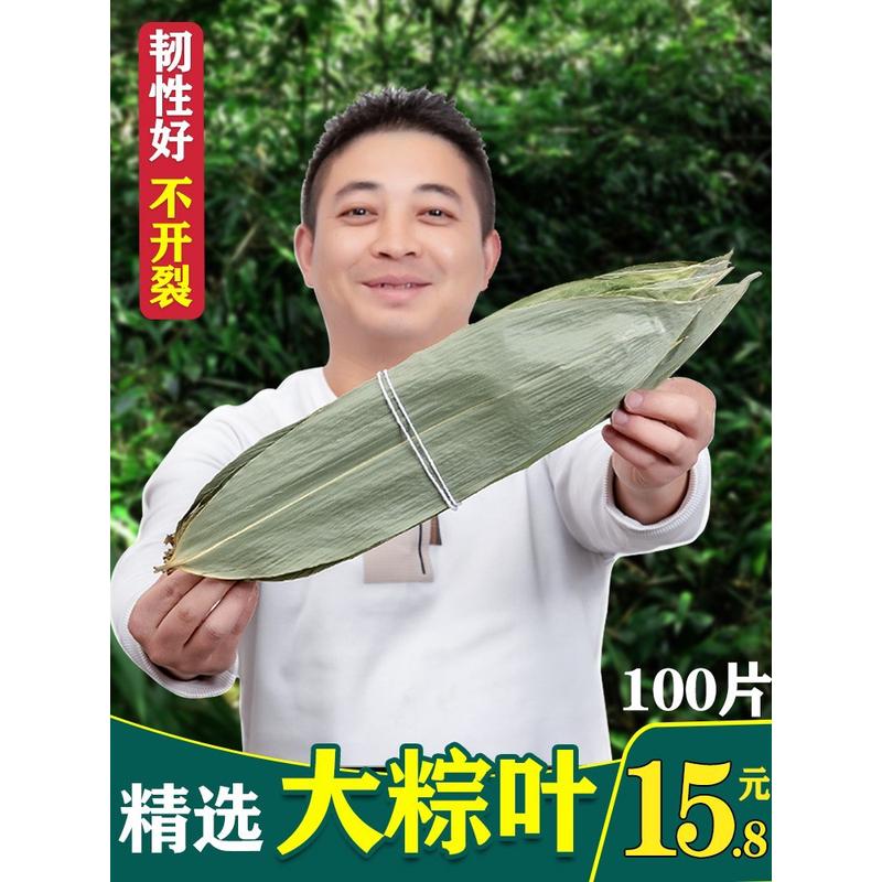 新货ii粽子叶新鲜大号100片包粽子的叶子特大粽叶干大号新叶干棕