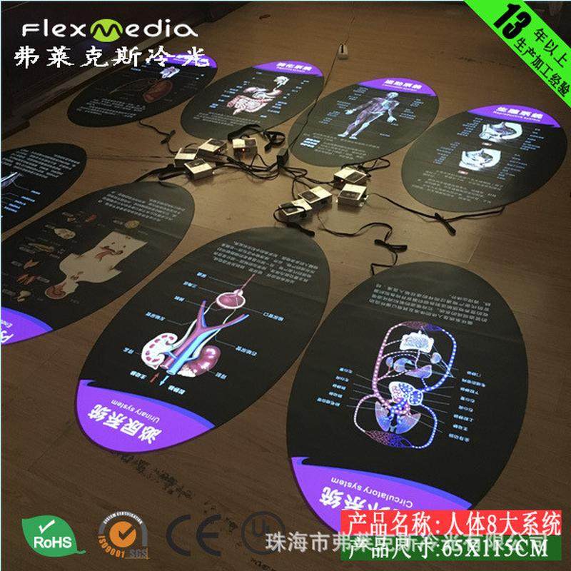 热销科技馆展馆案新方，人体八大系统动画图，el冷光灯，超薄灯箱