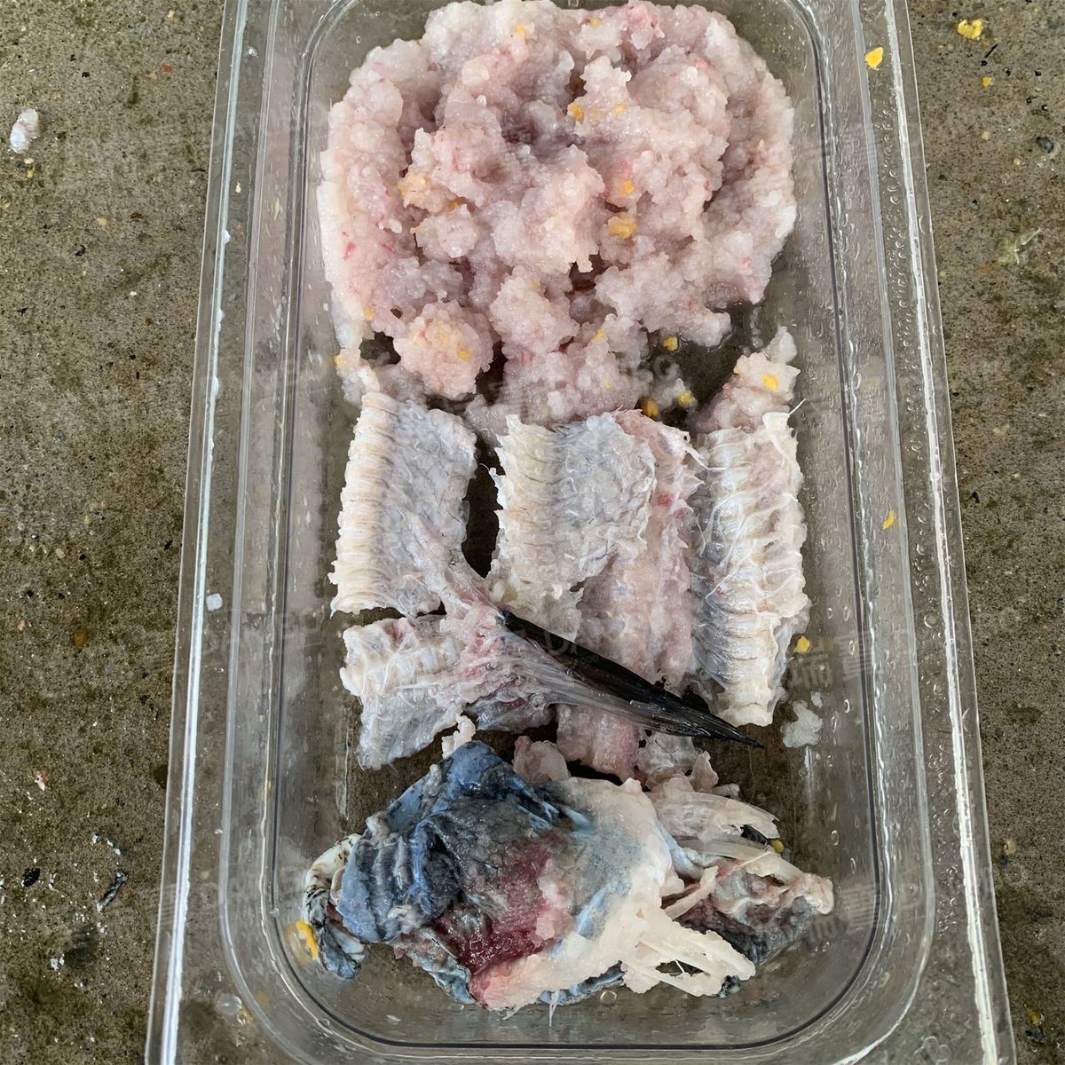 r菜场档口海鲜鱼肉采肉机鱼丸鱼饼加工黄花鱼采肉泥机采肉机