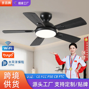 北欧简约吸顶风扇灯家用商用餐厅客厅吊扇黑色大风力静音吊扇灯具