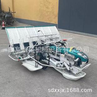 热销六行步进式 栽苗育苗机早稻晚稻种 全自动水稻插秧机手扶汽油款