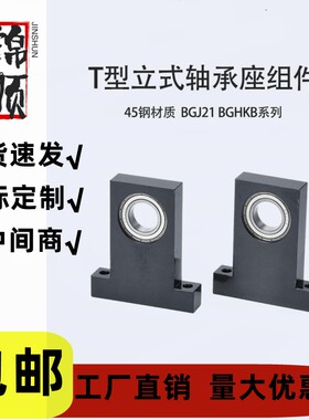 T型带座轴承固定立式轴承座BGJ21 BGHKB 6000 6001 6002 6003 608